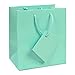10 pcs Small Fancy Robin's Egg Blue Glossy Finish Shopping Paper Gift Sales Tote Bags with Blank Message Tag 4
