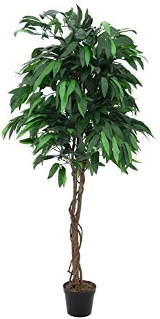 artplants - Decorative Mango tree with 970 leaves, natural stem, lianas, 6 ft / 180 cm - Fake tree / Artificial tropical tree