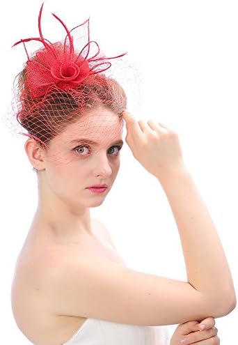 yomuryobao Fascinator Hat Feather Mesh Net Veil Party Hat Flower Derby Hat with Clip and Hairband for Women