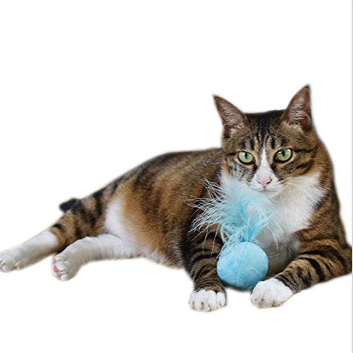Randall Sound catnip toys ball hair ring bell feather teaser cat toys pet cat supplies Kitten Play Interactive Fun Toy Cat Teaser