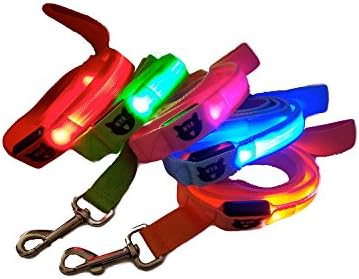 Nyacorp 3 Light Modes LED Dog Leash - Green