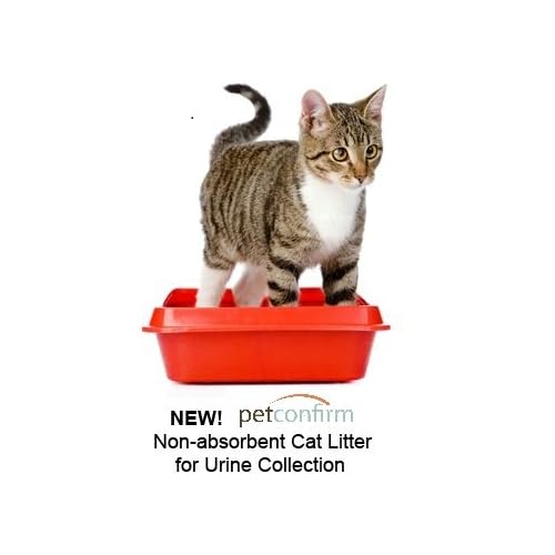 non absorbent cat litter
