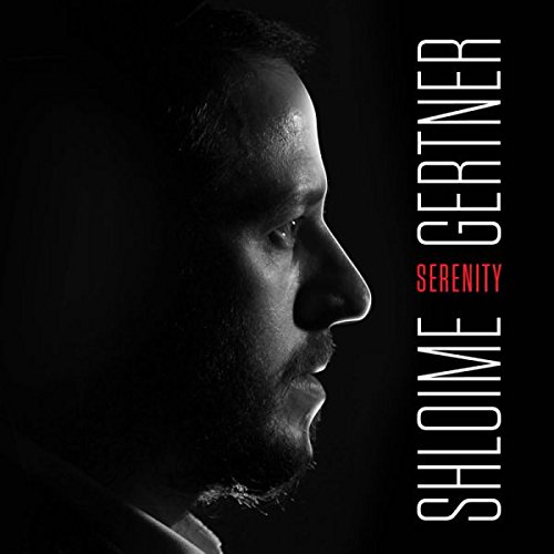 Shlomie Gertner Shlomie Gertner Serenity Amazon Com Music Listen to hands in the air on spotify. amazon com