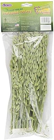 oat sprays for hamsters