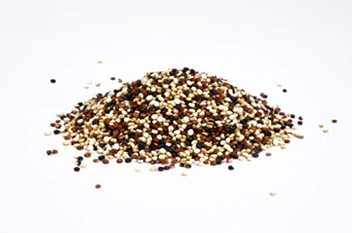 GoGo Quinoa Grains Tricolor Organic, 25 lbs - Thumbnail 3