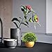 Vangold Lifelike Artificial Plants Plastic Grass Plants with Pots for Christmas Home/Office Decor (1pcs)
