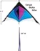 Moon Glow Sports Delta Kite for Kids and Adults, Large, 60
