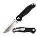 KIZER Knives Pocket Knife with Clip Black G10 Handles Material Flipper Knife EDC Folding Knife, Matt Cucchiara Bad Dog V3463A1