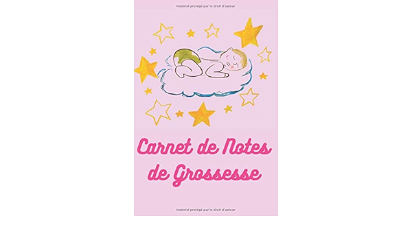 Carnet De Notes De Grossesse Cahier De La Futur Maman 6 X 9 Journal De Bord De Suivi De Grossesse En Attendant Bebe French Edition Dadaian Nara Amazon Com Books