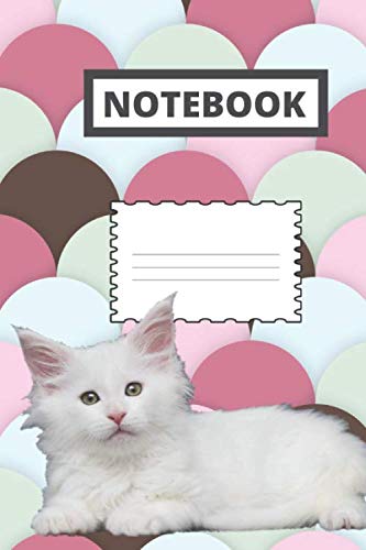 Notebook: Maine coon cat notebook for office | 6 x 9 | 120 pages