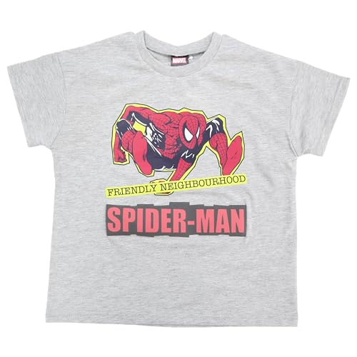 スパイダーマン 半袖Ｔシャツ ロゴ発砲 グレー 130