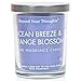 Beyond Your Thoughts Scented Candle Aromatherapy Wax Mixed Popular Long Lasting Ocean Breeze&Orangeblossom Fragrances 8ozthumb 4