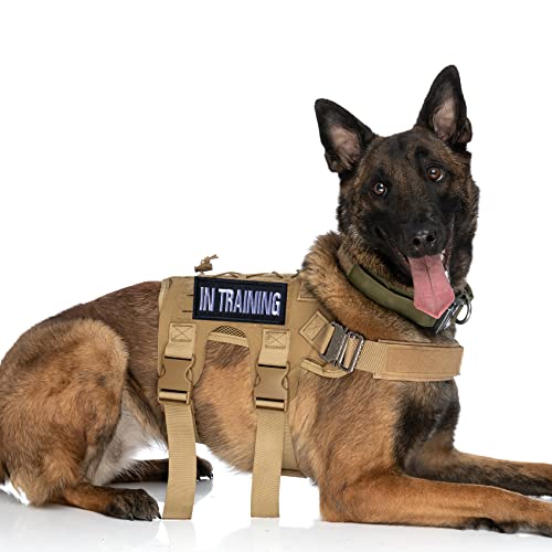 GYGYL 2Pcs Dog Vest Patch, Tactical Pet in Training Patch, Embroidered Fastener Hook and Loop Patch for Dog Vest Harnesses Collars