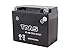 TMS® AGM Battery For Super Helix Elite ATV Recon ATC Big Red Dyssey Yamaha VFR VTR Magna Kawasaki Vulcan Suzuki Bandit V-Strom Marauder Intruder Volusia Hayabusa B-King
