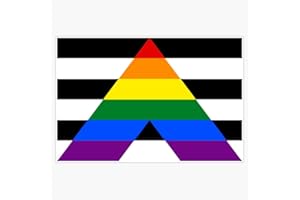 VISION GRAPHICS MAGNET Straight Ally (Lgbt) Flag Magnetic Vinyl Sticker Decal Magnet 5"