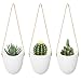 MoonLa Ceramic Hanging Planter Succulent Air Plant Flower Pot Wall Decor, Set of 3(Plants Not Included)