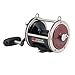 Penn Special Senator Star Drag Conventional Fishing Reel