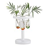 Glass Planter Propagation Station Test Tube with