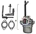 Aitook Replacement Carburetor Carb for Briggs and Stratton 699966, 697978