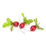 Radish, Red, Artificial Vegetable Fake Food, Box of 24