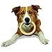 Nylabone Ring Bone Power Chew Toy for Dogs, Dog Toys for Aggressive Chewers, Original Flavor, Large - Up to 50 lbs, 1 Count