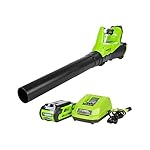 GreenWorks BA40L210 G-MAX 40V 115MPH - 430 CFM Cordless Brushless Blower, 2Ah Battery and Charger Included