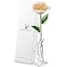 DEFAITH Real Rose 24K Gold Dipped, Forever Gifts for Her Valentine's Day Anniversary Wedding and Proposal - Ivory with Stand