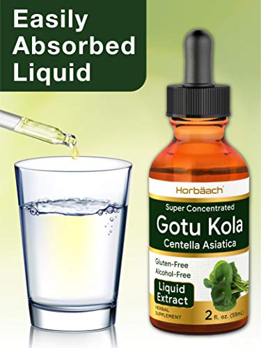 image for Horbäach Horbaach Gotu Kola Extract | 2 Oz | Alcohol Free | Super Con