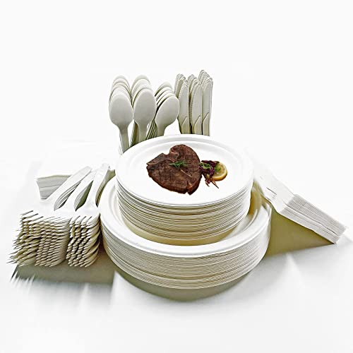 300 Piece Compostable Plates Utensils, Biodegradable Disposable