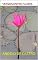 Livro VERSOS ENTRE FLORES