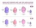 Solar Jo 5 Pieces Pro Makeup Blender Sponge Set, Soft, Odour-Free, Non-Allergenic, Flawless Beauty Egg Applicators for Liquid, Powder, Cream Products (Set of 5)
