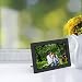 Digital Picture Frame 10.1 Inch  Winnovo D10 1280 x 800 HD Display Remote Control Auto Power On and Off Music Video Calendar Support USB SD Card (Black)thumb 3