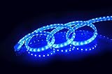 CBconcept UL Listed, 30 Feet, Super Bright 8100 Lumen, Blue, Dimmable, 110-120V AC Flexible Flat LED Strip Rope Light, 540 Units 5050 SMD LEDs, Indoor/Outdoor Use, [Ready to use]