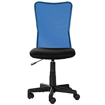 Merax Mid-back Computer Chair Stuff Chair Armless Task Chair (Blue)