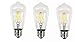 CYLED 8W LED Vintage Edison Filament Light Bulb,S60 Squirrel Cage Incandescent Filament Light Bulb, E26 Base, Antique Edison,3-Pack Warm White 2700K