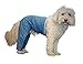 Mozzie Pants Walking Dog Pants, E-collar alternative, Dog Pajamas, Large Dog, Blue