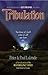 Tribulation: The Novel by Peter Lalonde, Paul Lalonde