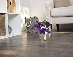 goDog Just For Me Bruto with Chew Guard Technology