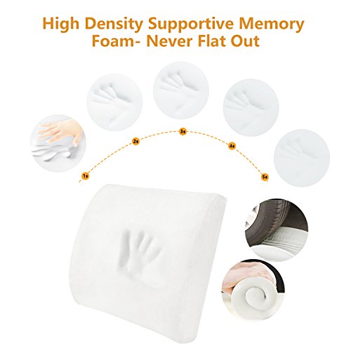 High Density Memory Foam Back Cushion, Non-slip Orthopedic Lumbar Support Pillow for Low Back Pain Relief, 2 Adjustable Straps for Car or Office Chair, Black