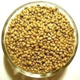 Corriander Seeds 5 Pounds Bulk