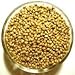 Corriander Seeds 5 Pounds Bulk
