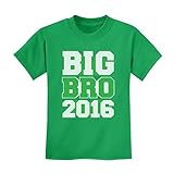 TeeStars - Gift Idea for Big Brother - Best Gifts Big Bro Est 2016 Kids T-Shirt Small Green