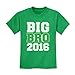 TeeStars - Gift Idea for Big Brother - Best Gifts Big Bro Est 2016 Kids T-Shirt Small Green