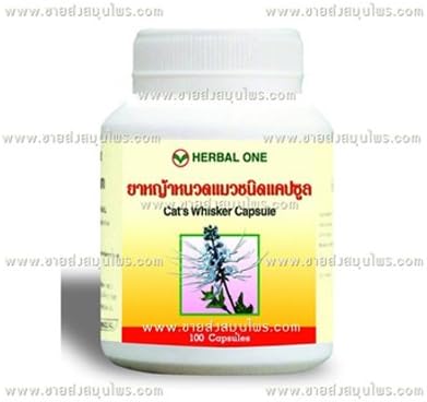 Orthosiphon Grandiflorus Bondingh - Cat's Whisker