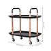 DTK 2 Tier Utility Kitchen Carts with Wheels - Storage Organizer Rolling Craft Cart with Shelves, Trolley Mobile Cart & Wooden Frame for Office, Kitchen, Bathroom (Black) 2PU1BK