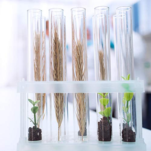 Joyclub 20x150mm Plastic Test Tubes with Cork Stoppers for Scientific Experiments, Halloween, Christmas, Scientific Themed Kids Birthday Party Supplies, Decorate The House, Candy Storage(30 Pack)