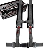 4 Point Harness with 2 Inch Padding