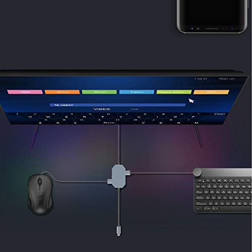 The perseids USB Type-C OTG Hub Docking Station Compatible with MacBook PC Windows Android Phone Tablet
