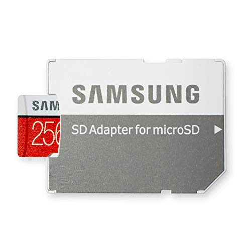 Samsung Evo Plus 256GB Micro SD Card for Zoom Q2n4K Video Recorder (MB