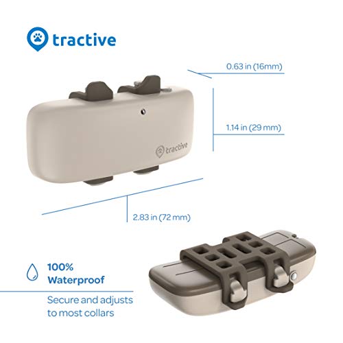 Tractive LTE GPS Dog Tracker Top Outdoor Dog Supply